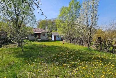 Teren de 3000 mp, în Dăești - 1