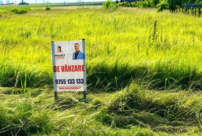 Teren Construcții intravilan de 7580 mp, în Albota - 4