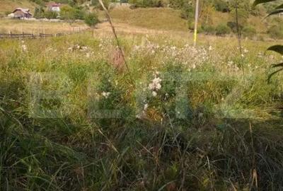Teren de 7500 mp, în Central - 3