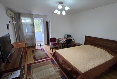 Garsonieră semidecomandată în Costin Georgian - 8