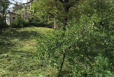 Casă cu 4 camere în Câmpuri - 15