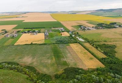 Teren de 10000 mp, în Todirești