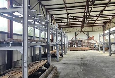 Spațiu industrial, de 2,200 mp, în Mârșa - 23