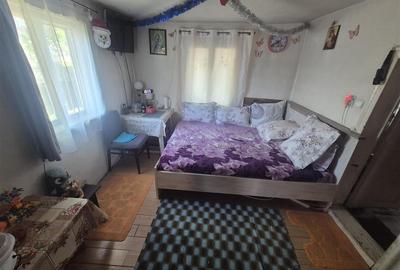 Casă cu 3 camere cu Teren 1150 Mp în Cazasu - 4