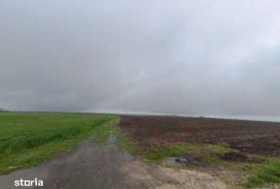 Teren de 32600 mp, în Deleni - 2
