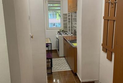 Apartament cu 2 camere semidecomandat în Teiul Doamnei - 8