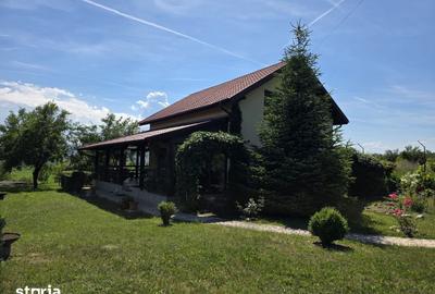 Casă cu 4 camere cu Teren 5095 Mp în Șoimuș - 9