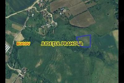 Teren de 17800 mp, în Bighilin