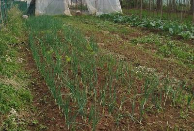 Casă cu Teren 5700 Mp în Leordina - 3