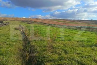 Teren de 7800 mp, în Central