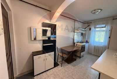 Apartament cu 2 camere semidecomandat în Brazda lui Novac - 1
