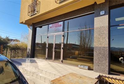 Spațiu comercial, de 133 mp, în Turnișor