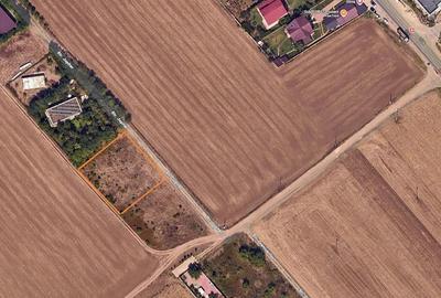 Teren de 1000 mp, în Frumușani