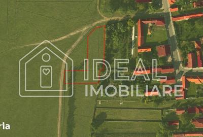 Teren de 1829 mp, în Cârțișoara - 7