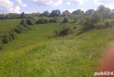 Teren de 3739 mp, în Feleacu - 2
