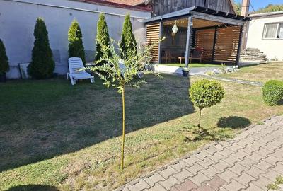 Casă cu 3 camere cu Teren 255 Mp în Central