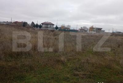 Teren de 9000 mp, în Priseaca - 2