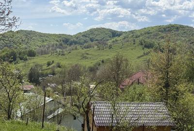 Teren Construcții intravilan de 2440 mp, în Valea Târsei - 6