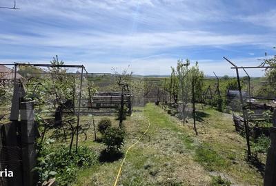 Casă cu 3 camere în Nazna - 12