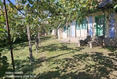 Casă cu 3 camere în Siliștea - 1