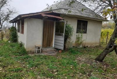Casă cu 2 camere în Central - 2