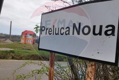 Casă cu 7 camere cu Teren 8286 Mp în Copalnic - 11