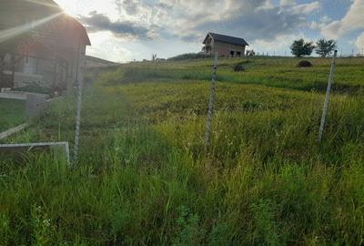 Teren de 500 mp, în Sâncraiu de Mureș - 2