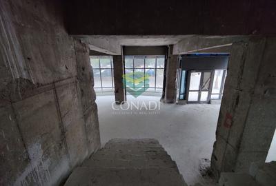 Spațiu comercial, de 845.57000732422 mp, în Unirii - 13