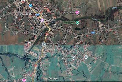 Casă individuală cu 4 camere cu Teren 3800 Mp în Târgu Lăpuș