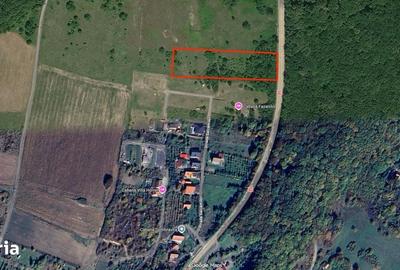 Teren de 500 mp, în Șura Mare - 1