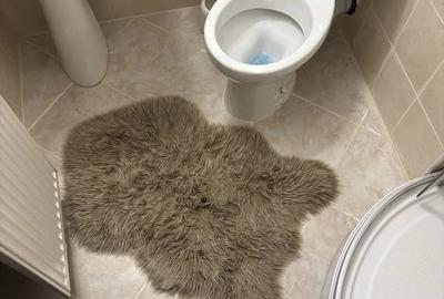 Garsonieră nedecomandată în Sânpetru