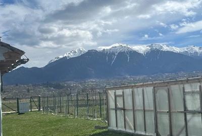 Teren de 710 mp, în Tohanu Nou - 6