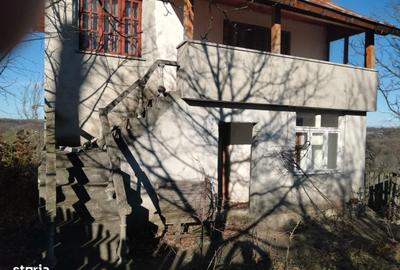 Casă cu 3 camere în Slătioarele