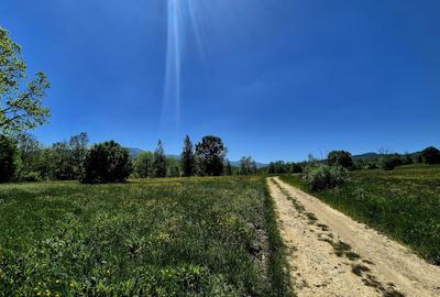 Teren agricol extravilan de 823 mp, în Șinca Nouă - 1