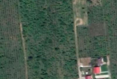 Teren de 5000 mp, în Urleta