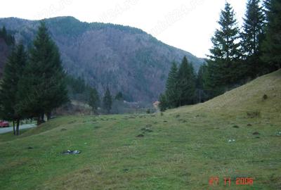 Teren în Plaiul Foii - 11
