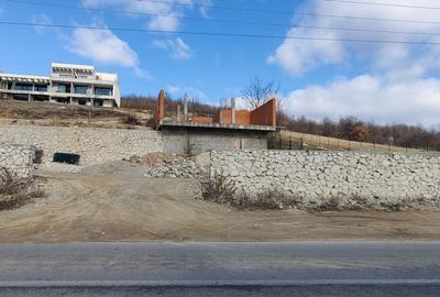 Teren de 700 mp, în Eșelnița - 2