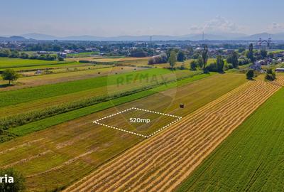 Teren de 520 mp, în Stupini - 4