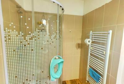 Casă individuală cu 8 camere cu Canalizare în Săcălaz - 19