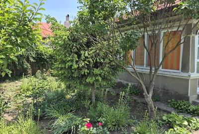 Casă cu Teren 1005 Mp în Platonești - 5