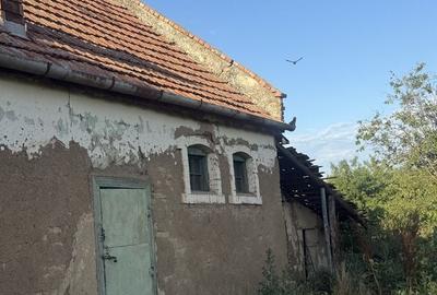 Casă cu 3 camere în Gelu - 3