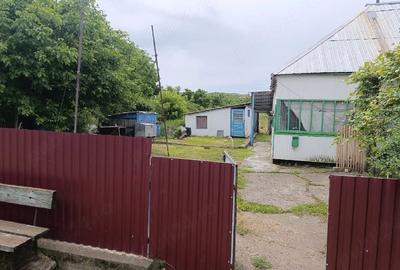 Casă cu Teren 2200 Mp în Iacobeni - 2