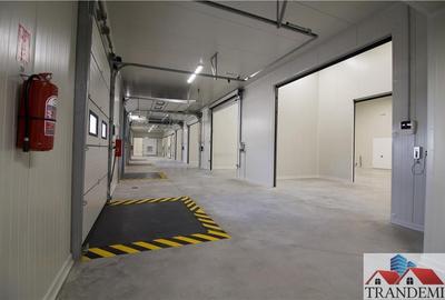 Spațiu comercial, de 1,200 mp, în Lancrăm - 9