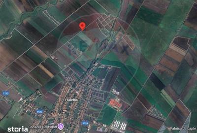 Teren de 3500 mp, în Hălchiu