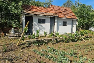 Casă cu 2 camere cu Teren 2283 Mp în Silagiu