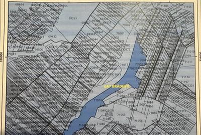 Teren de 133000 mp, în Brădești - 2