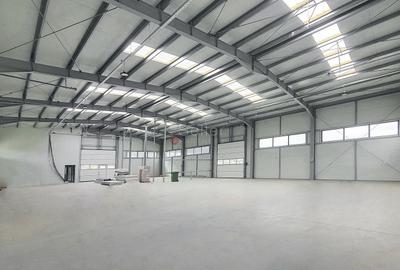 Spațiu industrial, de 550 mp, în Periferie - 7