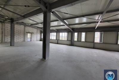 Spațiu industrial, de 798.54998779297 mp, în Exterior Vest - 9