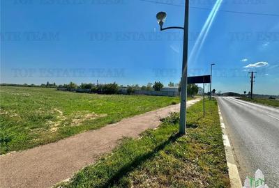 Teren Construcții intravilan de 12350 mp, în Central - 10