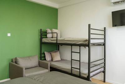 Apartament cu 2 camere semidecomandat, mobilat în Sala Palatului - 7